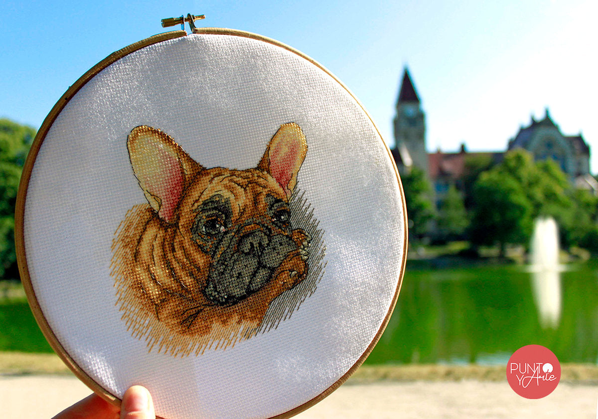 Kreuzstich-Set Merejka K-114 Französischer Bulldogge – Aida 16ct, 15×15 cm