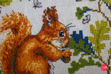 K-146A Squirrel - Merejka - Cross stitch kit