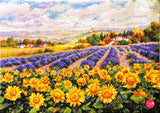 Merejka Cross Stitch Kit - K-179 Lavender and Sunflower Fields