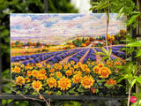 Merejka Cross Stitch Kit - K-179 Lavender and Sunflower Fields