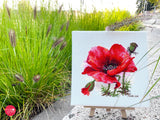 K-187 Red Poppy - Merejka - Cross Stitch Kit