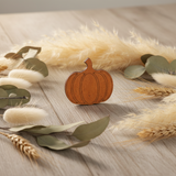 Pumpkin. Imanes para agujas de Madera Wizardi KF059/40