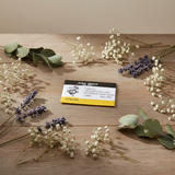 Pointed Needles for Cross Stitch and Half Stitch - John James L3904 NR-24: Perfect for your Embroidery Projects