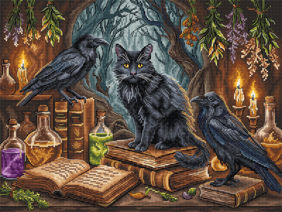 P163 Gato negro y cuervos - kit de punto de cruz AVA Stitch