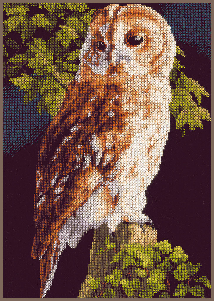 Owl - Lanarte - Cross stitch kit PN-0146814