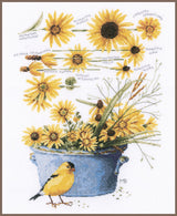 Helianthus sunflowers - Lanarte - Cross stitch kit PN-0172914