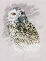 The Snow Owl - Lanarte - Cross Stitch Kit PN-0183826