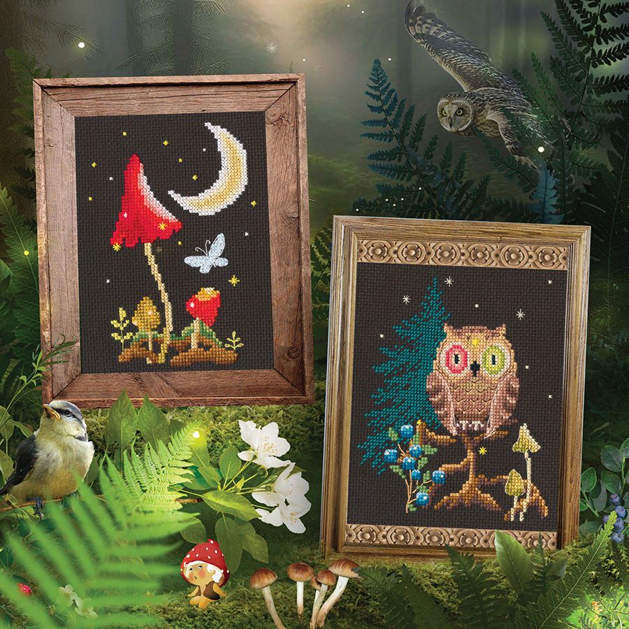 Counted Cross Stitch Kit - Magical Night RTO C436