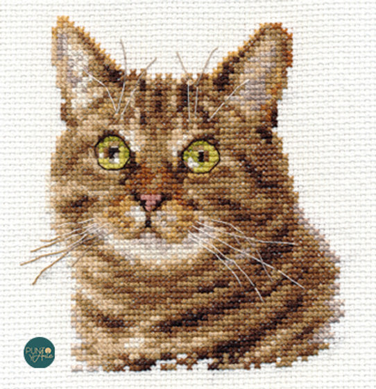 Kreuzstich-Set Alisa S0-135 Überraschte Katze 11x12 cm