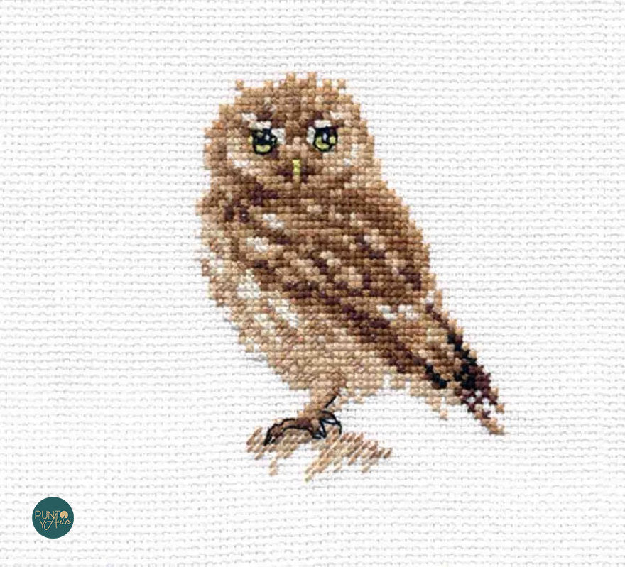 Owl - S0-166 Alisa - Cross stitch kit