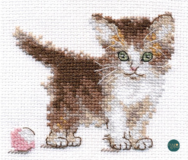 Surprised Cat - Alisa S0-169 - Cross Stitch Kit