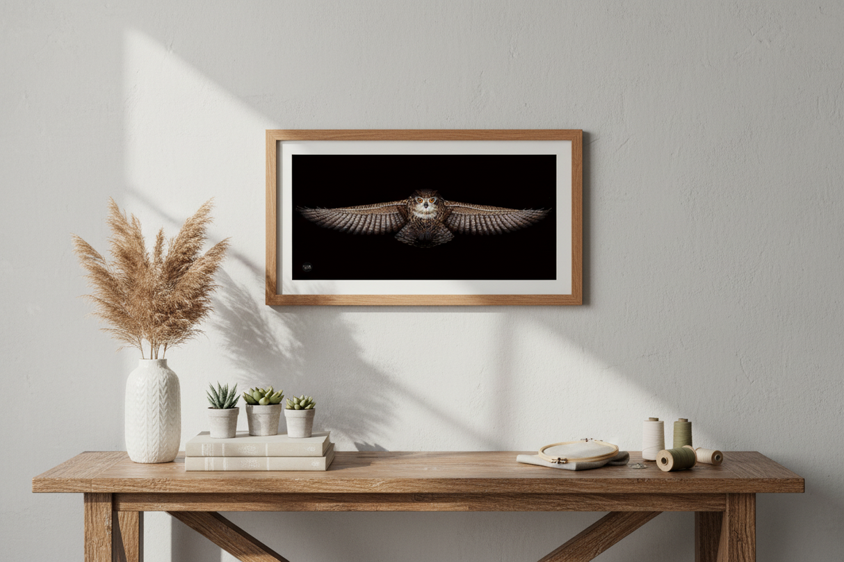 Owl - SANS-44 Andriana - Cross stitch kit