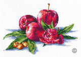 Apples and Hazelnuts - SANYA-03 Andriana - Cross stitch kit