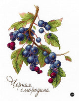 Black Currant - SNV-694 MP Studia - Cross Stitch Kit