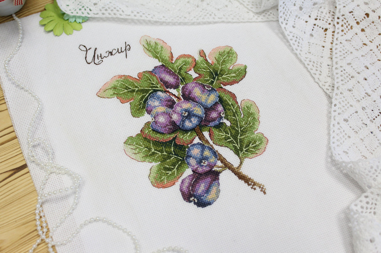 Gifts of nature. Figs - SNV-768 MP Studia - Cross Stitch Kit