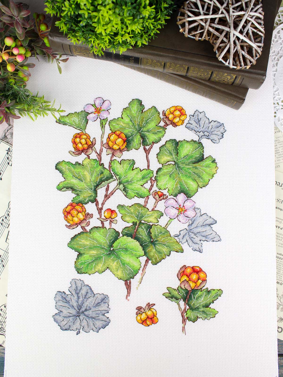 Cross Stitch Kit "Cloudberry" MP Studia SNV-930 - Botanical wild berries 28x19 cm Aida 16 ct