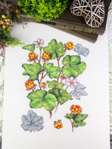 Cross Stitch Kit "Cloudberry" MP Studia SNV-930 - Botanical wild berries 28x19 cm Aida 16 ct
