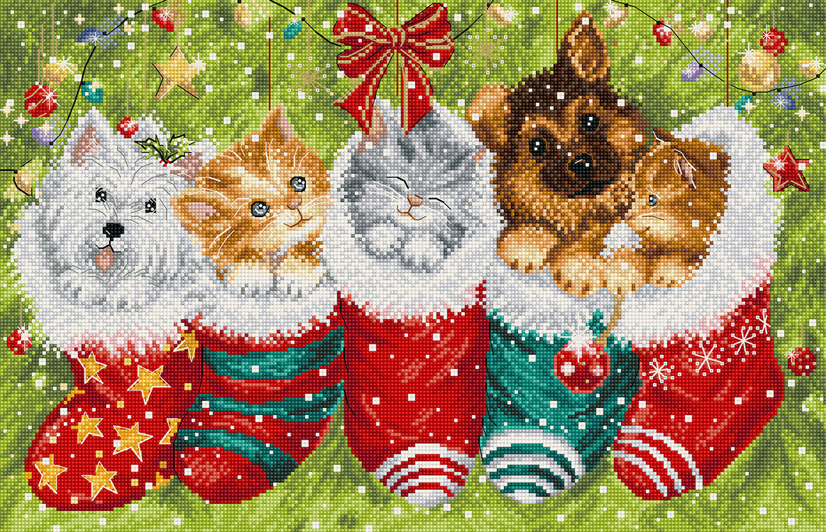 Kit de point de croix « Chiens et chats en chaussettes » – Letistitch L9940