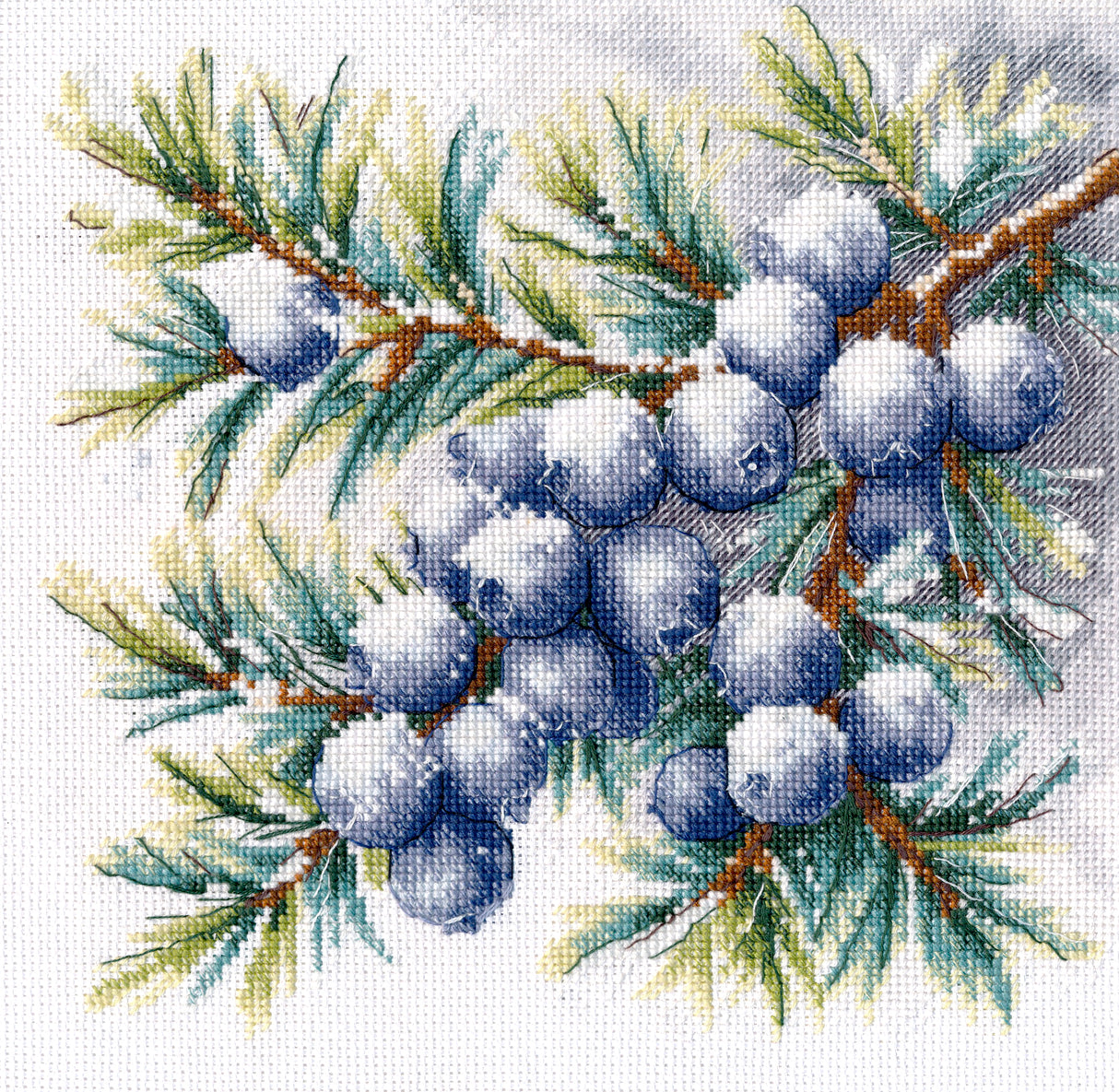 Cross Stitch Kit "A Sprig of Juniper" Oven S1725 - Juniper Branch 20x20 cm Aida 16 ct