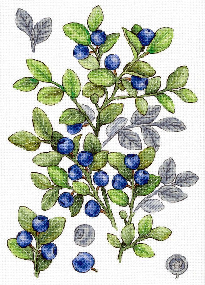Kit de punto de cruz Bilberry MP Studia con ramas de arándanos azules y hojas verdes en estilo botánico sobre tela blanca