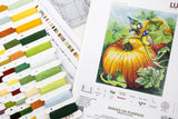 Materiales del kit de punto de cruz Luca-S Birdies On Pumpkin