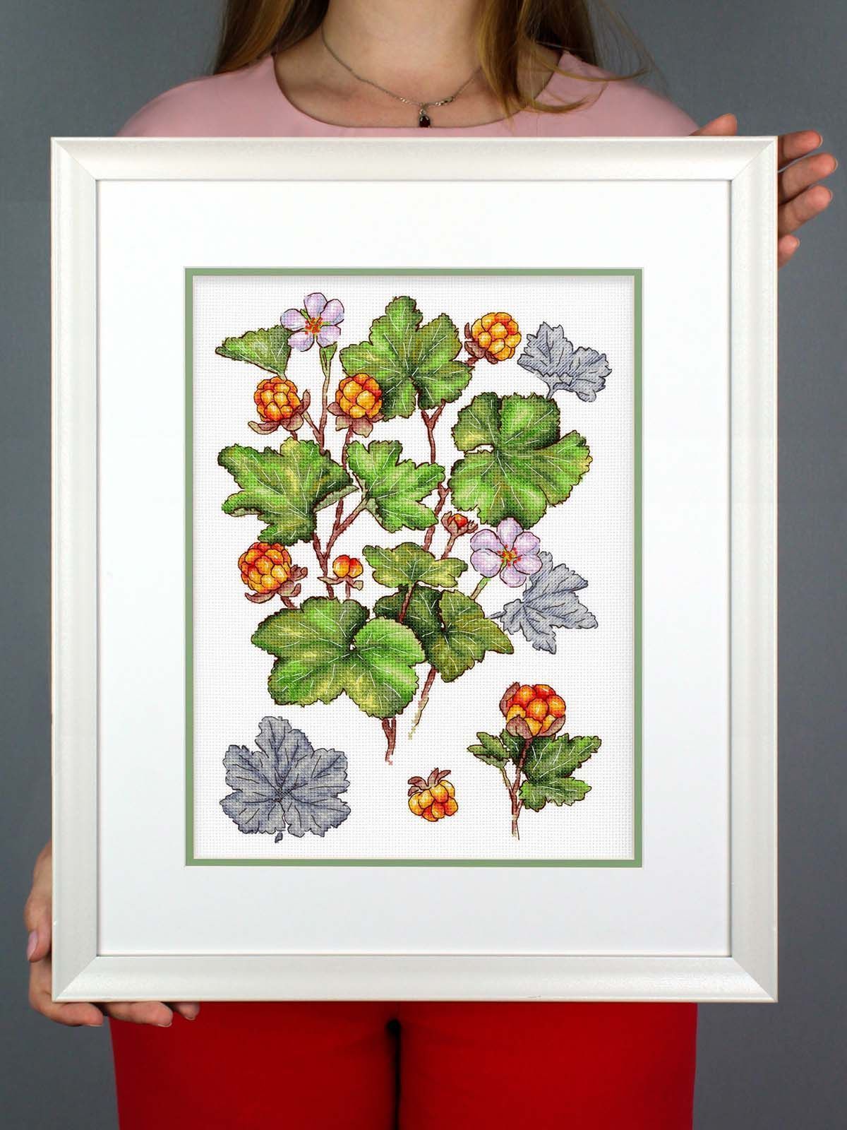 Cross Stitch Kit "Cloudberry" MP Studia SNV-930 - Botanical wild berries 28x19 cm Aida 16 ct