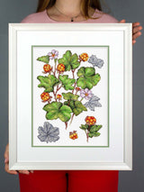 Cross Stitch Kit "Cloudberry" MP Studia SNV-930 - Botanical wild berries 28x19 cm Aida 16 ct