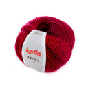 L'Aztèque de Katia