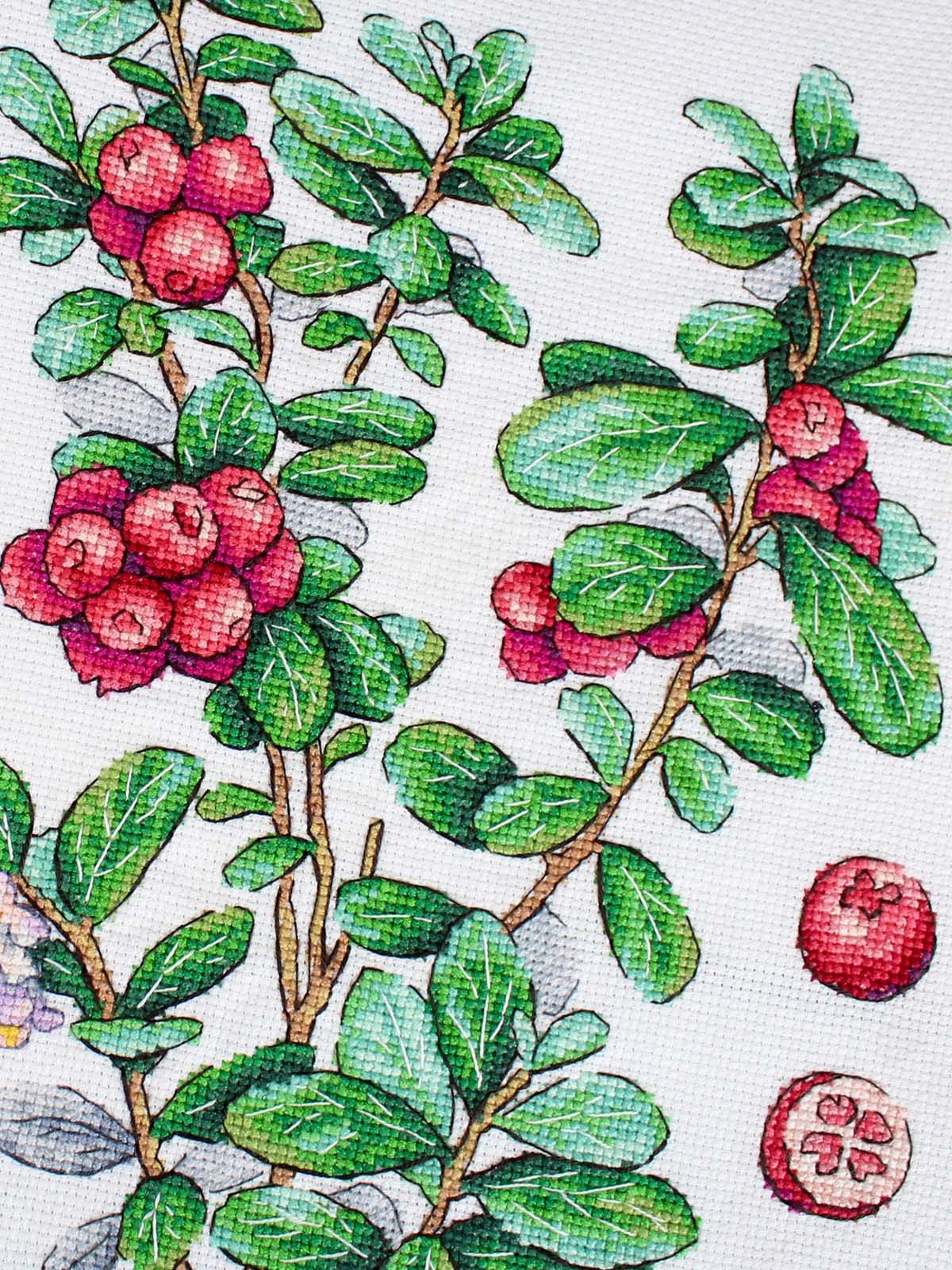 Cross Stitch Kit "Cowberry" MP Studia SNV-928 – Botanical Cranberries 29x20 cm Aida 16 ct
