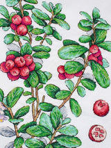 Cross Stitch Kit "Cowberry" MP Studia SNV-928 – Botanical Cranberries 29x20 cm Aida 16 ct