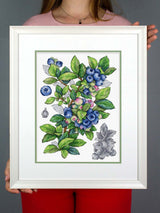 Cross Stitch Kit "Blueberry" MP Studia SNV-929 - Botanical Blueberries 28x20 cm Aida 16 ct