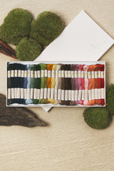 Eco Vita Collection Box: Organic Wool Yarn with Natural Dyes