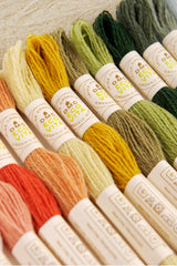 Eco Vita Collection Box: Organic Wool Yarn with Natural Dyes