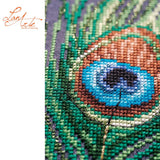 Lanarte The Peacock’s Muse Cross Stitch Kit with DMC threads and metallic accents