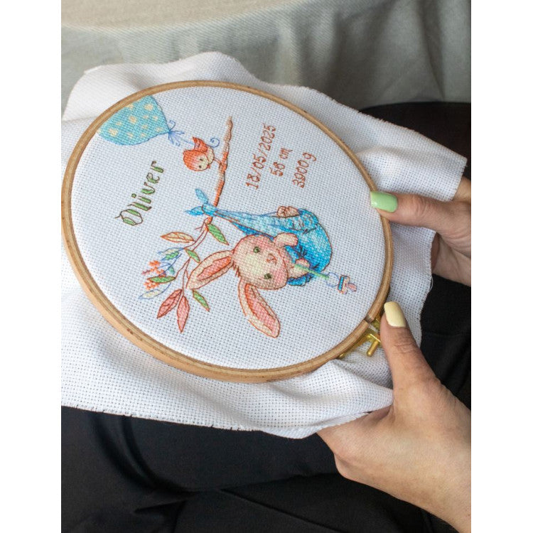 Kit punto de cruz Boy Birth Sampler A1028 Aine