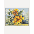 Kit de punto de cruz Aine SRA1033 Sunflowers in the Wind con girasoles amarillos, hojas verdes y fondo de cielo claro bordado sobre tela Aida verde.