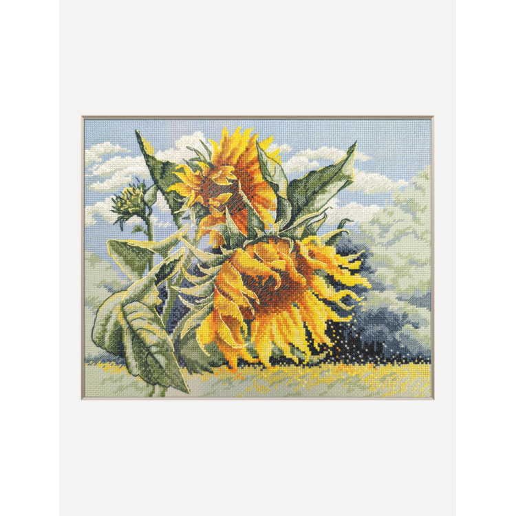 Kit de punto de cruz Aine SRA1033 Sunflowers in the Wind con girasoles amarillos, hojas verdes y fondo de cielo claro bordado sobre tela Aida verde.