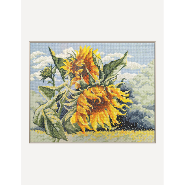 Kit de punto de cruz Aine SRA1033 Sunflowers in the Wind con girasoles amarillos, hojas verdes y fondo de cielo claro bordado sobre tela Aida verde.