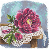 Andriana SANB-32 Velvet Peony