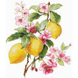 Andriana SANL-28 Lemons