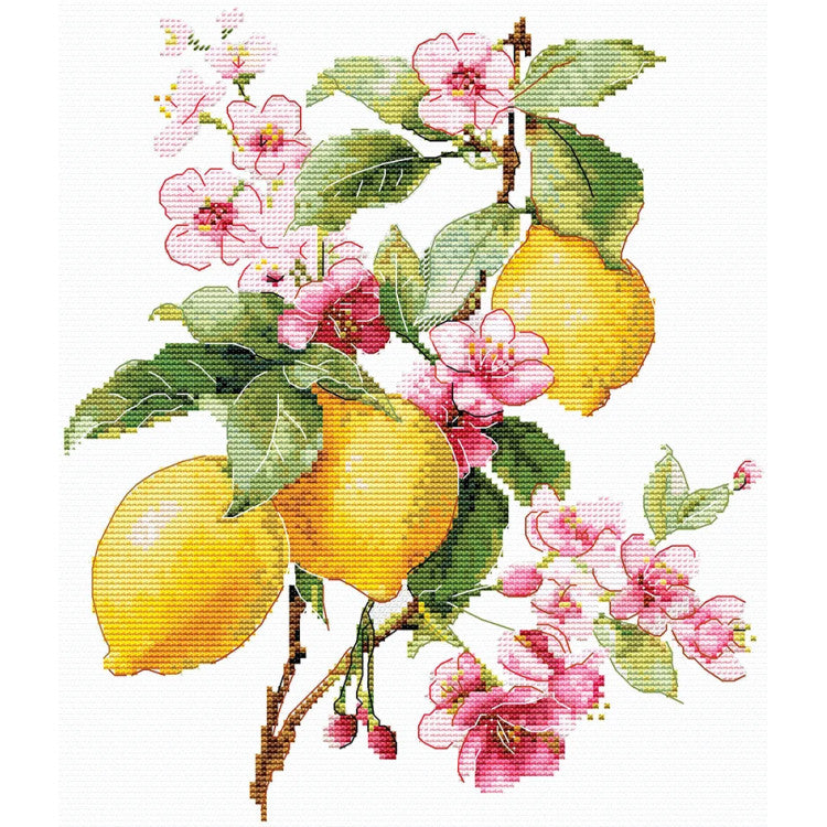 Andriana SANL-28 Lemons