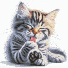 Kit de punto de cruz Andriana SANM-46 Soft Paws con gatito gris atigrado lamiéndose la patita sobre fondo blanco, bordado en Aida 16 ct.