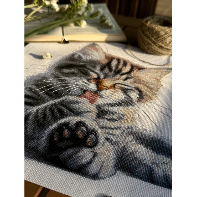 Kit de punto de cruz Andriana SANM-46 Soft Paws – Gatito con Patitas Suaves 27x27,5 cm