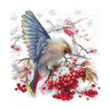 Andriana SANS-72 Cross Stitch Kit "Waxwing"