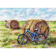 MP Studia SNV-1007 A Bicycle's Journey