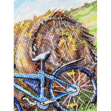 MP Studia SNV-1007 A Bicycle's Journey