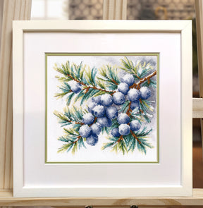 Kit de punto de cruz A Sprig of Juniper Oven S1725 con rama de enebro y bayas azules sobre tela Aida blanca