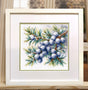 Kit de punto de cruz A Sprig of Juniper Oven S1725 con rama de enebro y bayas azules sobre tela Aida blanca