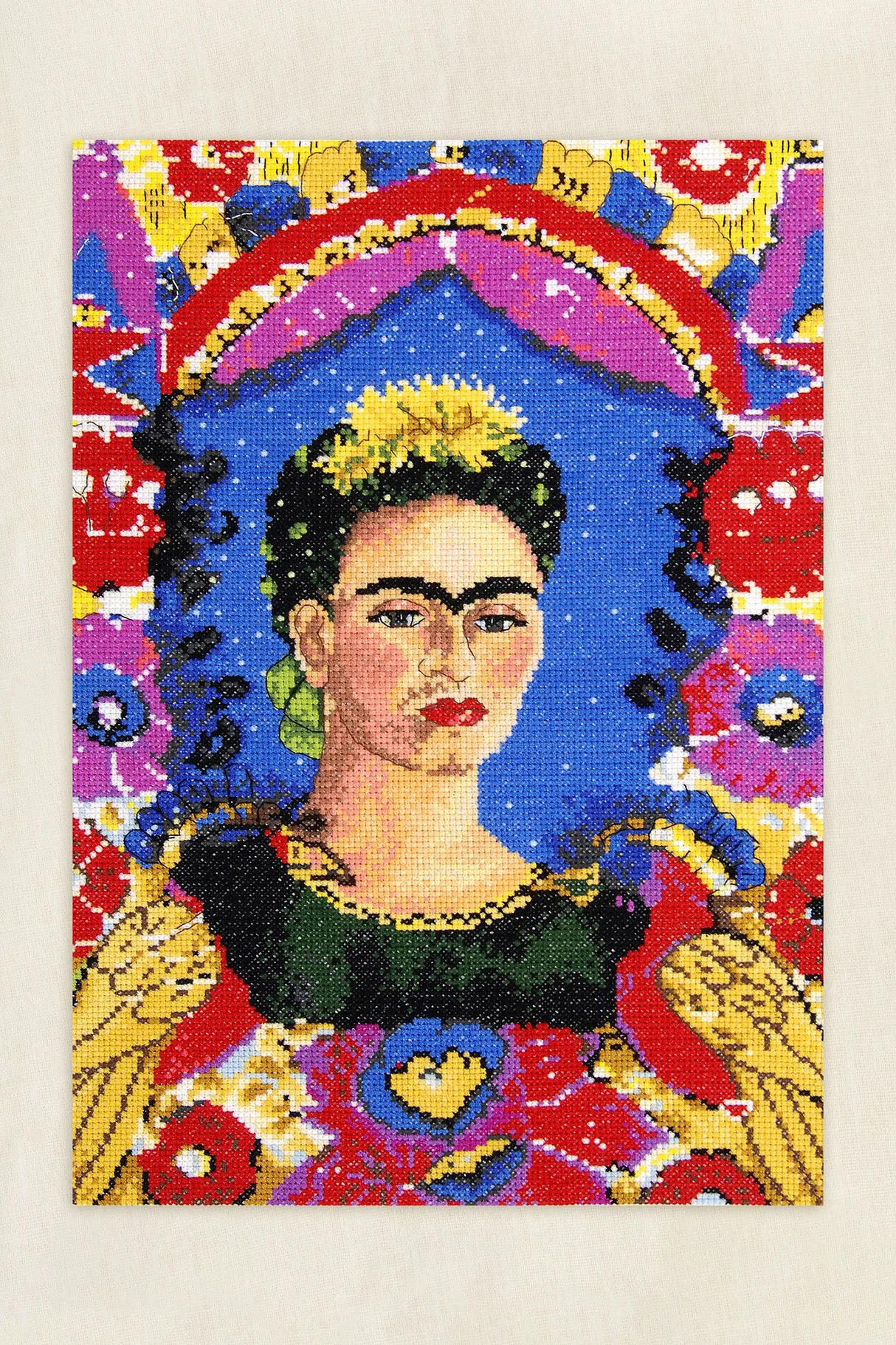 El Marco de Frida Kahlo – Kit de Punto de Cruz Avanzado DMC BK1993