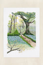 Kit de punto de cruz DMC Intermedio Paisaje primaveral con diseño de bosque en primavera de Marie-Dominique Procureur